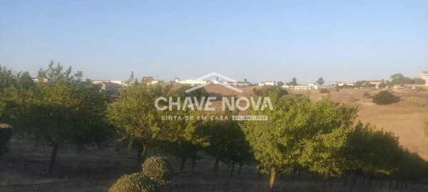 Terreno P/ Prédio para Venda em Azambuja