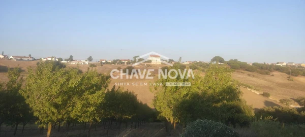 Terreno P/ Prédio para Venda em Azambuja