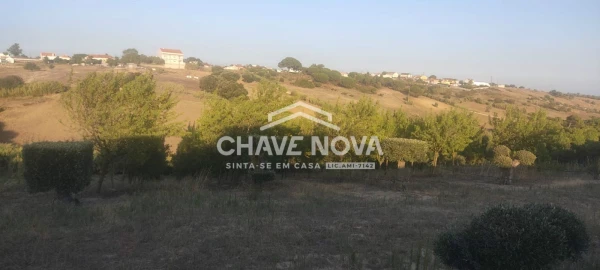 Terreno P/ Prédio para Venda em Azambuja