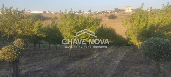 Terreno P/ Prédio para Venda em Azambuja