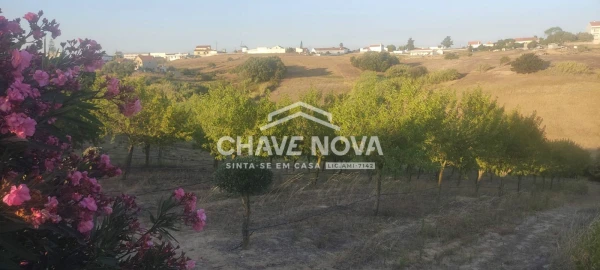 Terreno P/ Prédio para Venda em Azambuja