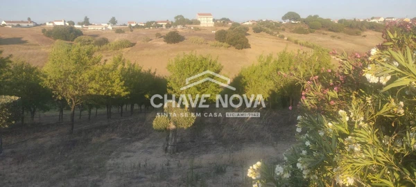 Terreno P/ Prédio para Venda em Azambuja