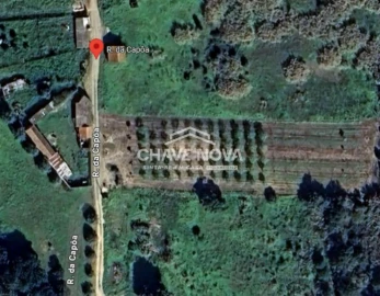 Terreno P/ Prédio para Venda em Azambuja