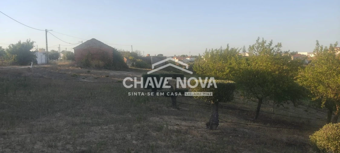 Terreno P/ Prédio para Venda em Azambuja Foto 6