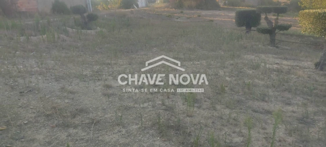 Terreno P/ Prédio para Venda em Azambuja Foto 7