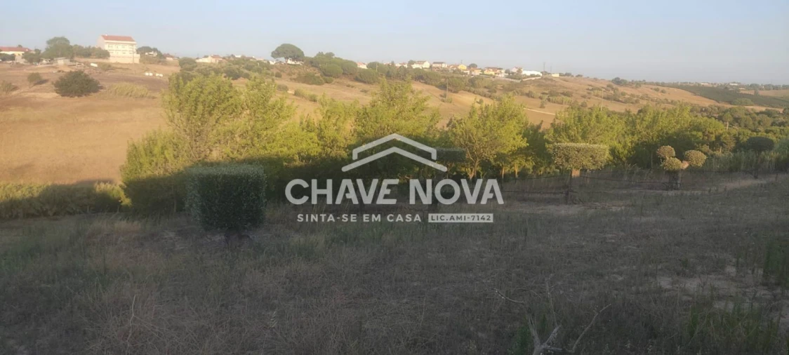 Terreno P/ Prédio para Venda em Azambuja Foto 14