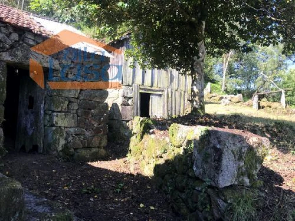 Quinta T0 para Venda em Santiago de Piães Foto 8