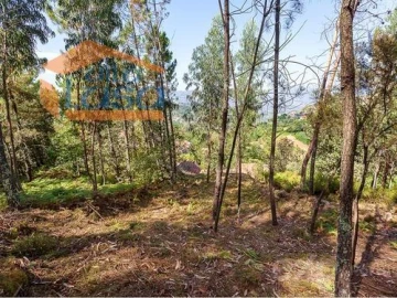 Quinta T0 para Venda em Santiago de Piães