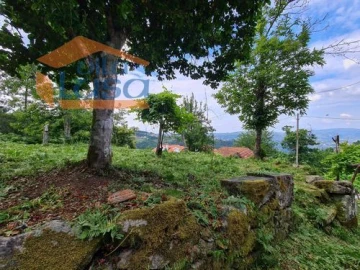 Quinta T0 para Venda em Santiago de Piães