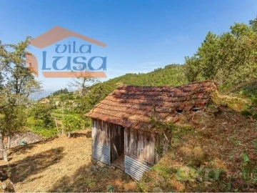 Quinta T0 para Venda em Santiago de Piães