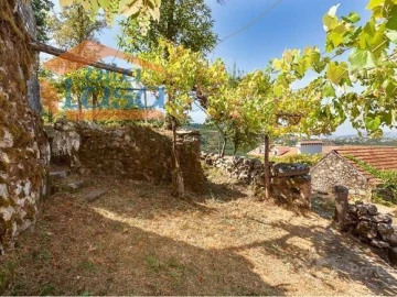 Quinta T0 para Venda em Santiago de Piães