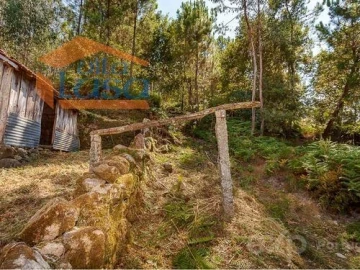 Quinta T0 para Venda em Santiago de Piães