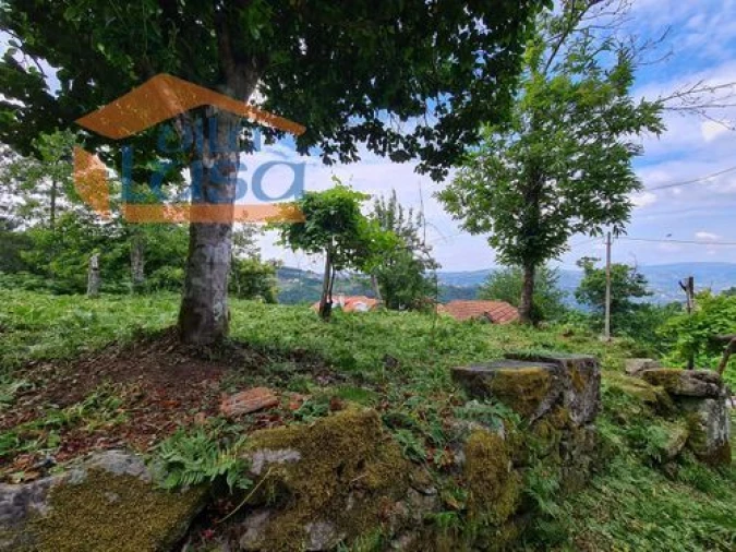 Quinta T0 para Venda em Santiago de Piães Foto 6