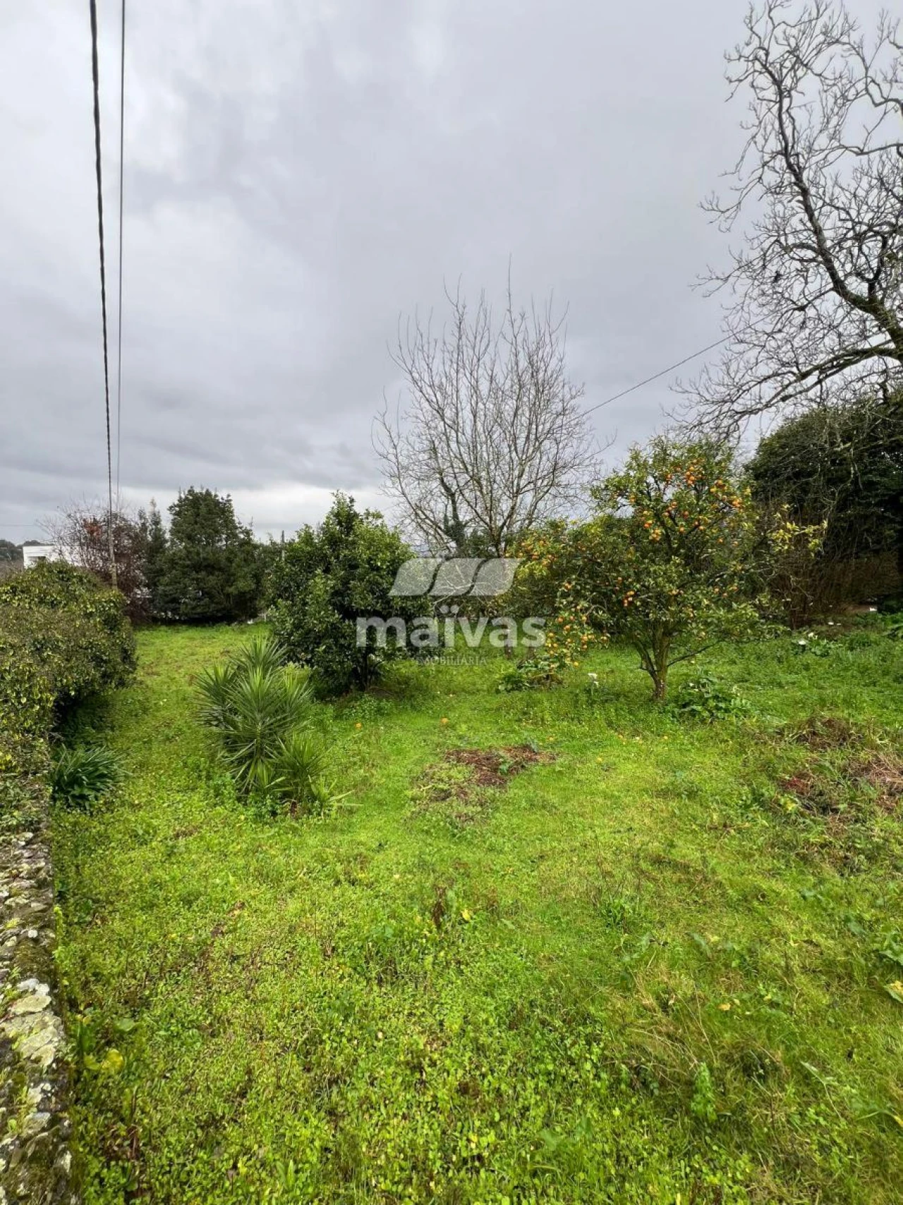 Terreno para Venda em Vila Verde e Barbudo Foto 1