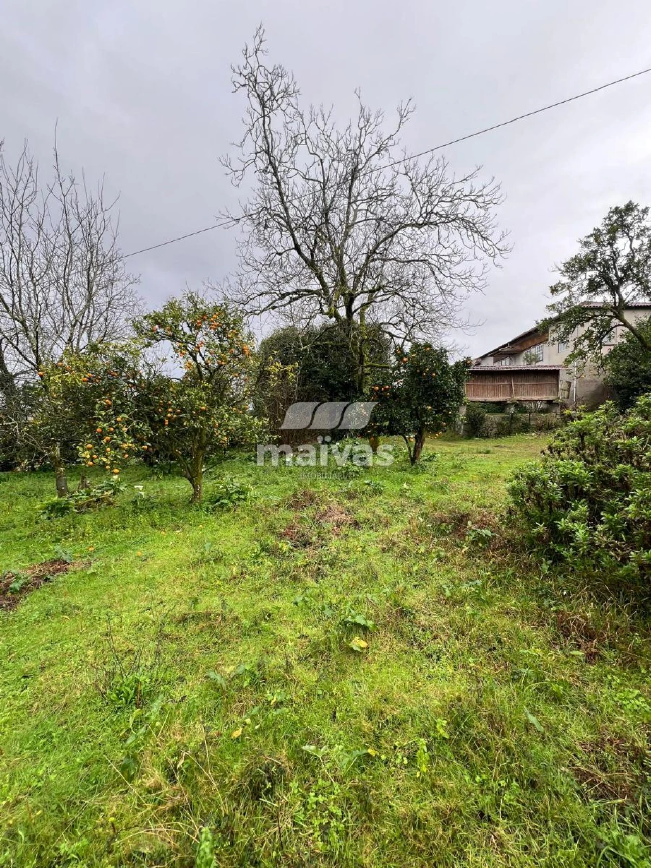 Terreno para Venda em Vila Verde e Barbudo Foto 2
