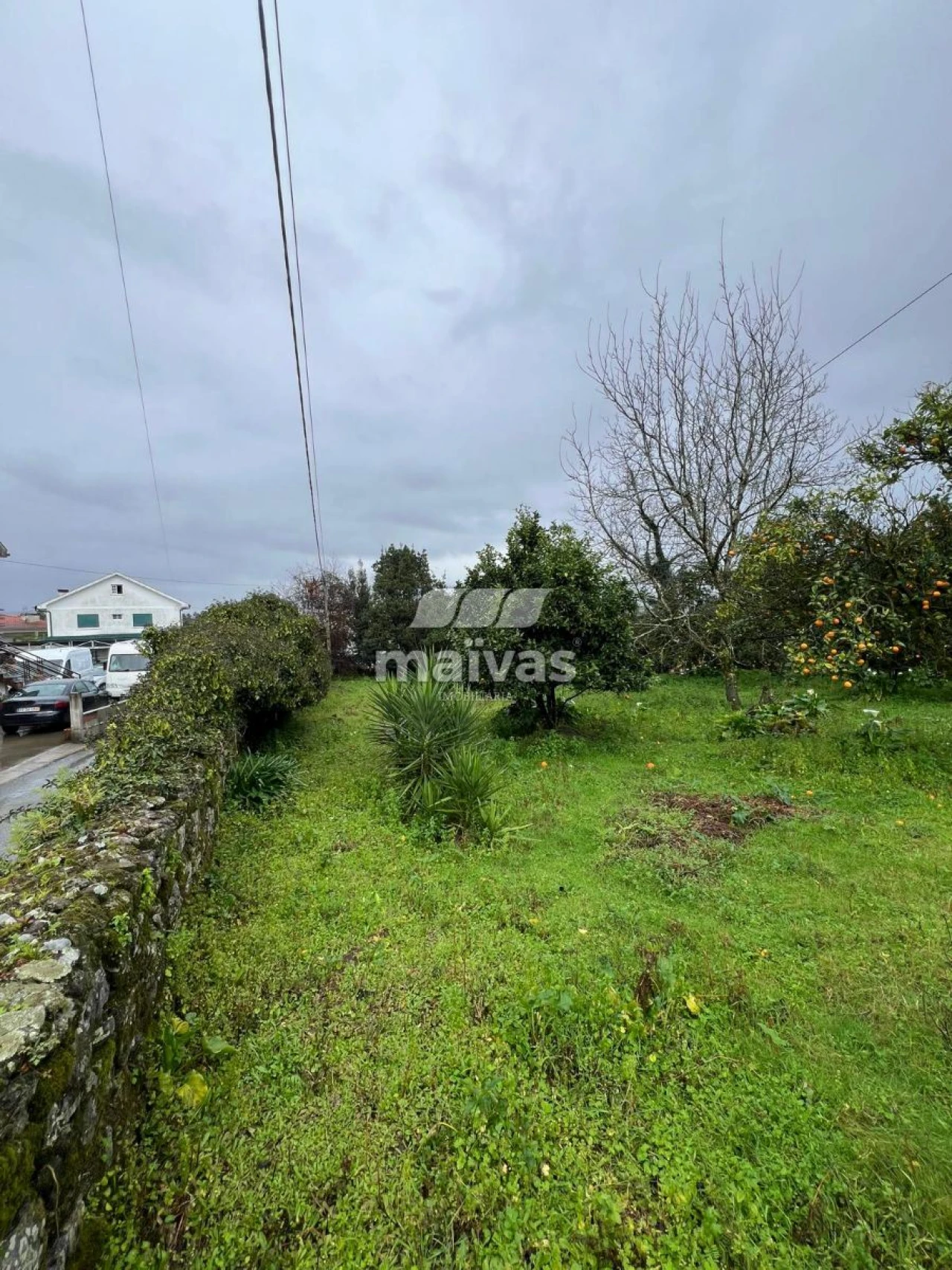Terreno para Venda em Vila Verde e Barbudo Foto 3
