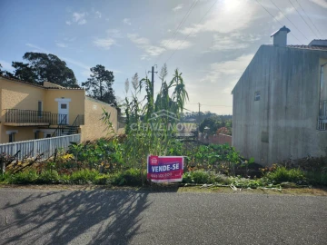 Terreno para Venda em Santa Joana