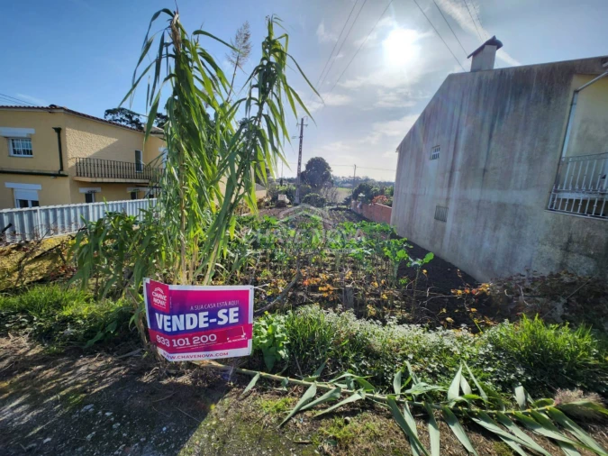 Terreno para Venda em Santa Joana Foto 2