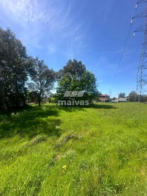 Terreno para Venda em Soutelo