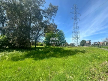 Terreno para Venda em Soutelo