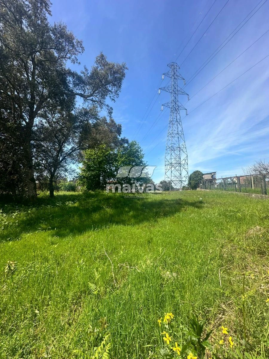 Terreno para Venda em Soutelo Foto 4