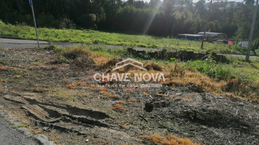 Terreno para Venda em Gondomar (São Cosme), Valbom e Jovim Foto 5
