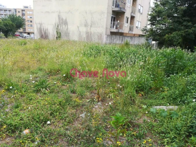 Terreno P/ Prédio para Venda em Alfena Foto 13