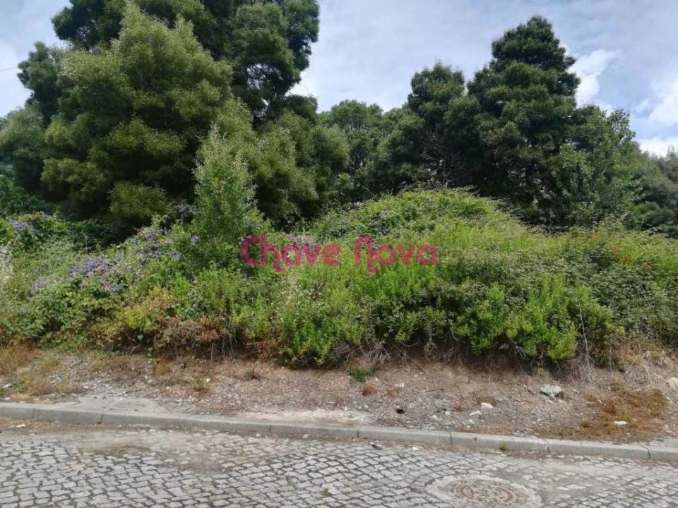 Terreno para Venda em Gondomar (São Cosme), Valbom e Jovim Foto 3