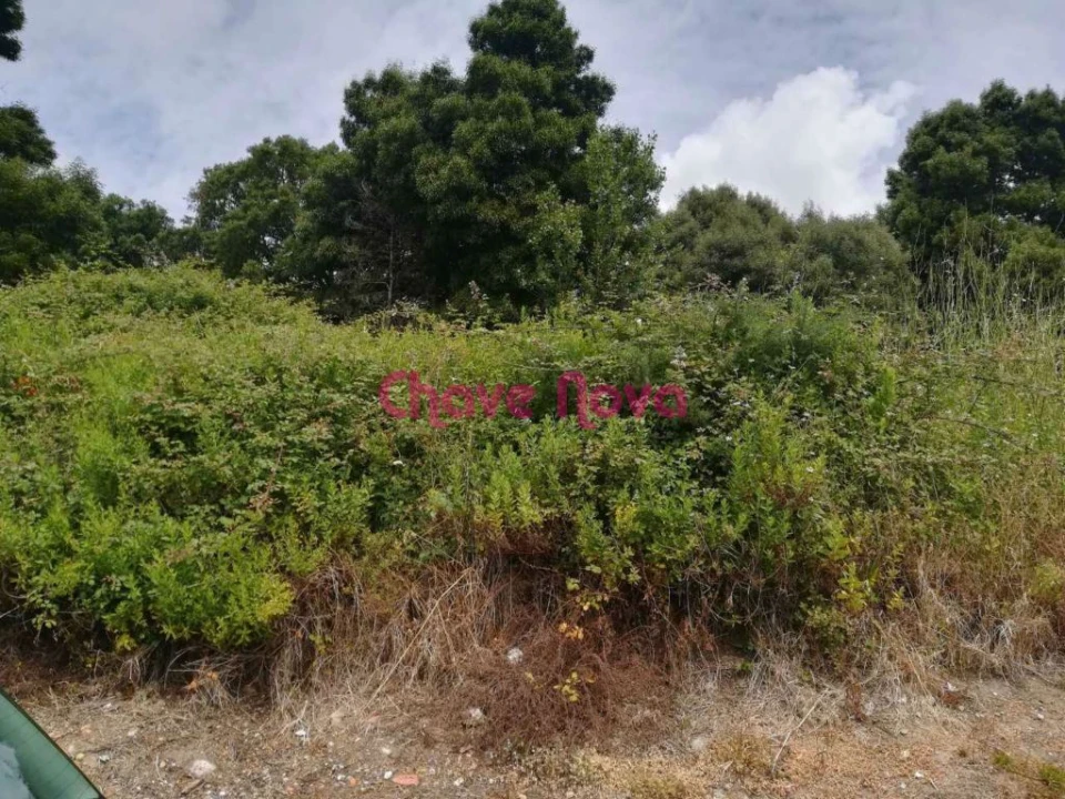 Terreno para Venda em Gondomar (São Cosme), Valbom e Jovim Foto 4