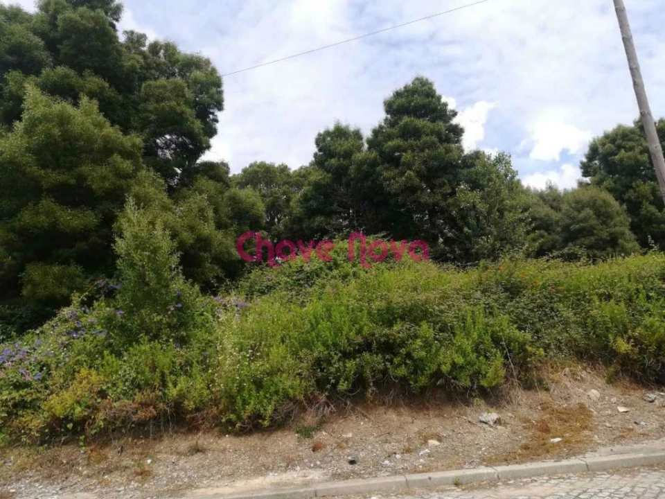 Terreno para Venda em Gondomar (São Cosme), Valbom e Jovim Foto 6