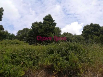 Terreno para Venda em Gondomar (São Cosme), Valbom e Jovim