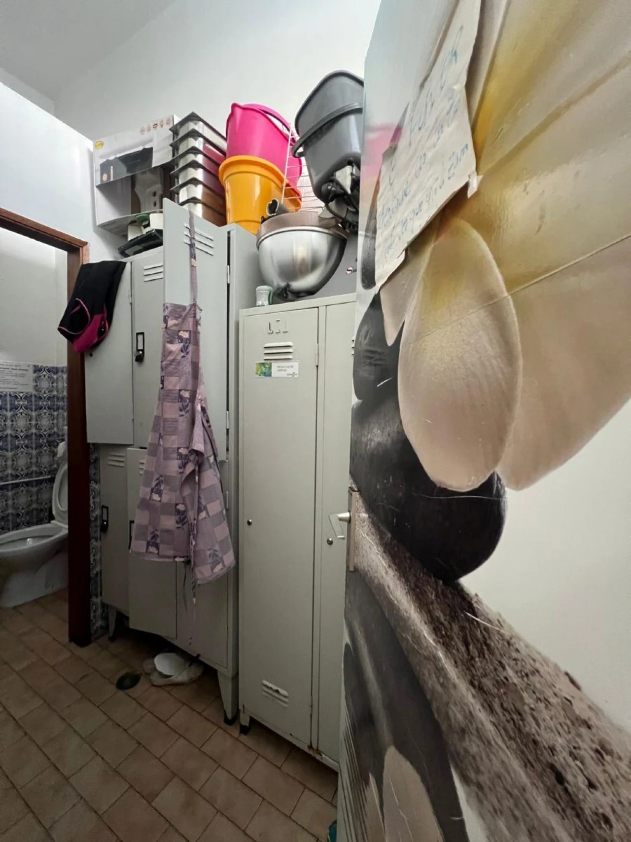 Negócio para Trespasse em Quarteira Foto 25