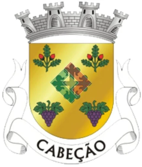 Negócio para Venda em Cabeção