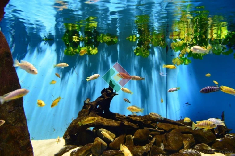 Negócio para Venda em Cabeção Foto 9