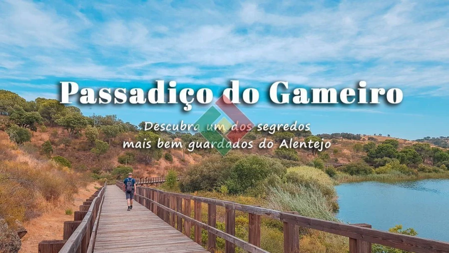 Negócio para Venda em Cabeção Foto 13