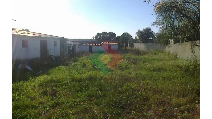 Negócio para Venda em Cabeção