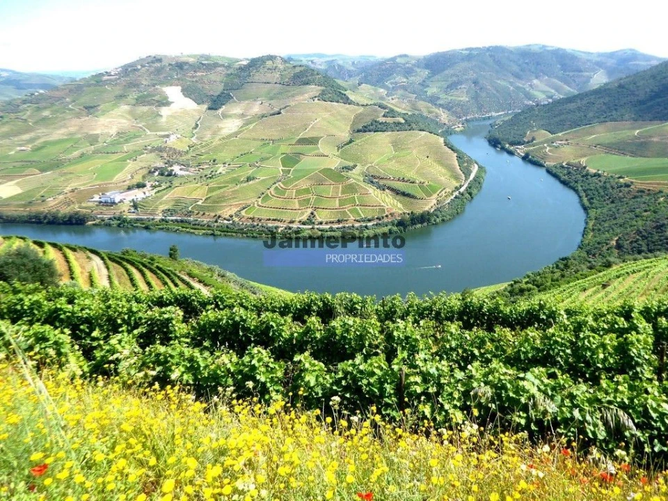 Quinta T0 para Venda em Pinhão Foto 4