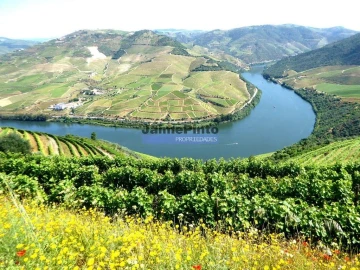 Quinta T0 para Venda em Pinhão