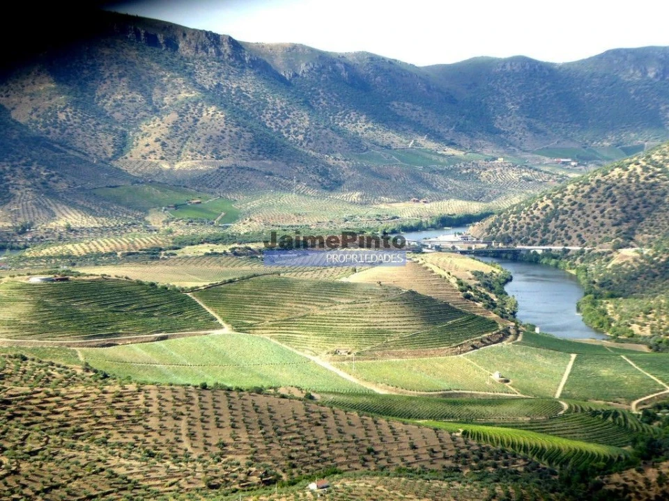 Prédio para Venda em Figueira de Castelo Rodrigo Foto 2