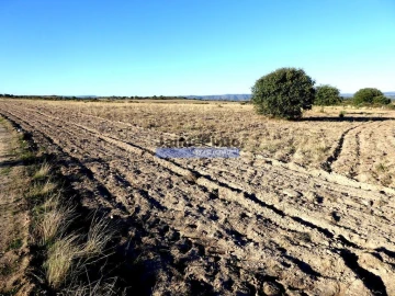 Terreno Agricola ou Rústico para Venda em Figueira de Castelo Rodrigo