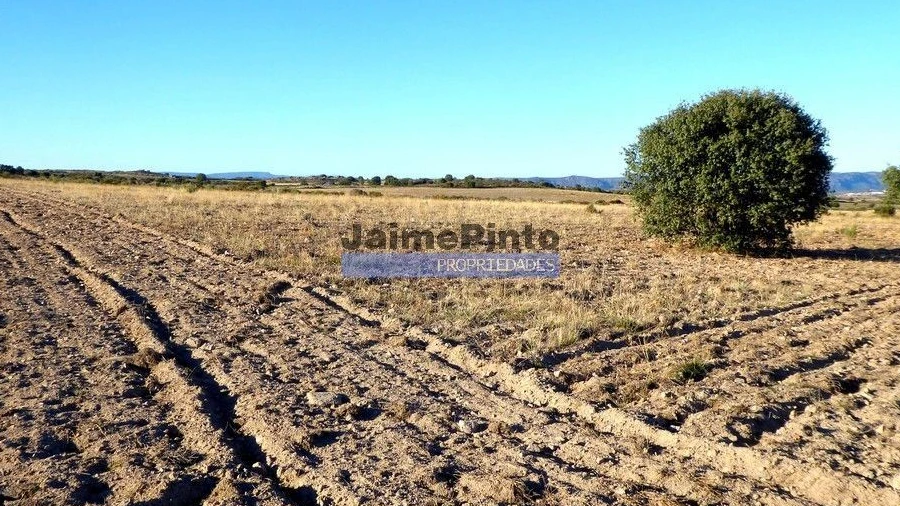 Terreno Agricola ou Rústico para Venda em Figueira de Castelo Rodrigo