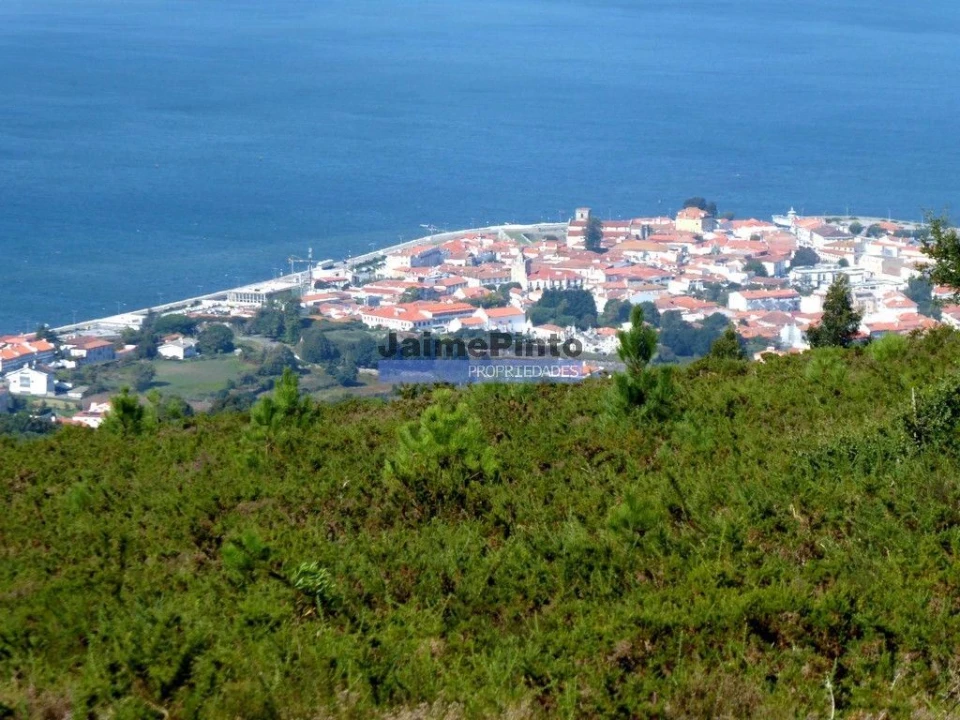 Moradia T3 para Venda em Caminha (Matriz) e Vilarelho Foto 1