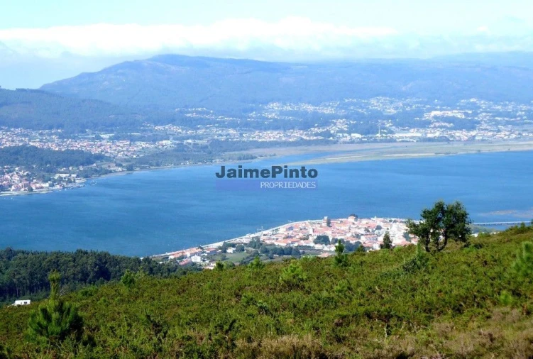 Moradia T3 para Venda em Caminha (Matriz) e Vilarelho Foto 2