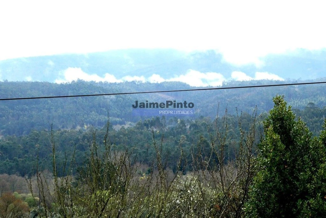 Terreno P/ Prédio para Venda em Semide e Rio Vide Foto 6