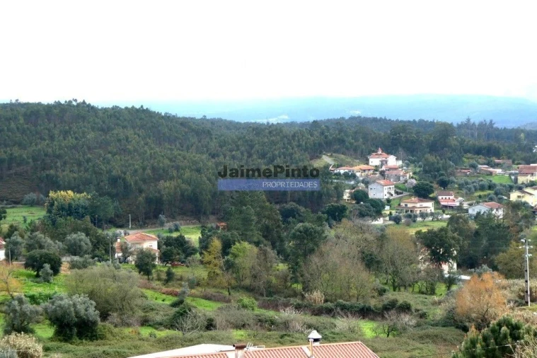 Terreno P/ Prédio para Venda em Semide e Rio Vide Foto 5