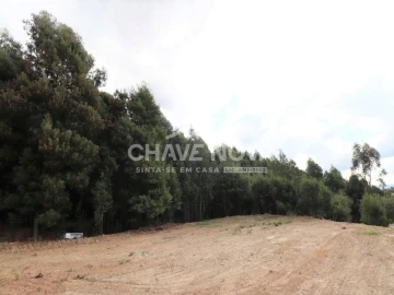 Terreno Agricola ou Rústico para Venda em Fânzeres e São Pedro da Cova