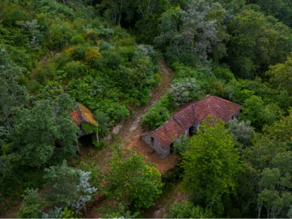 Quinta T3 para Venda em Gondar Foto 3
