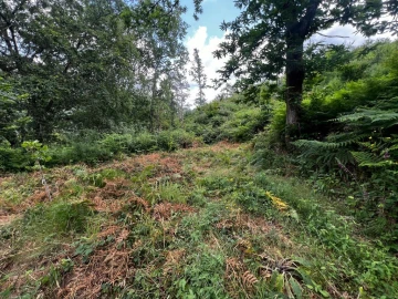 Quinta T3 para Venda em Gondar