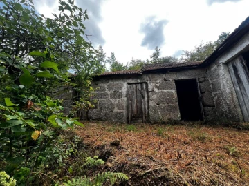 Quinta T3 para Venda em Gondar