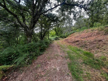 Quinta T3 para Venda em Gondar